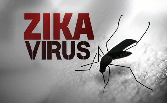 Tại sao WHO lo sợ Zika hơn cả dịch Ebola?
