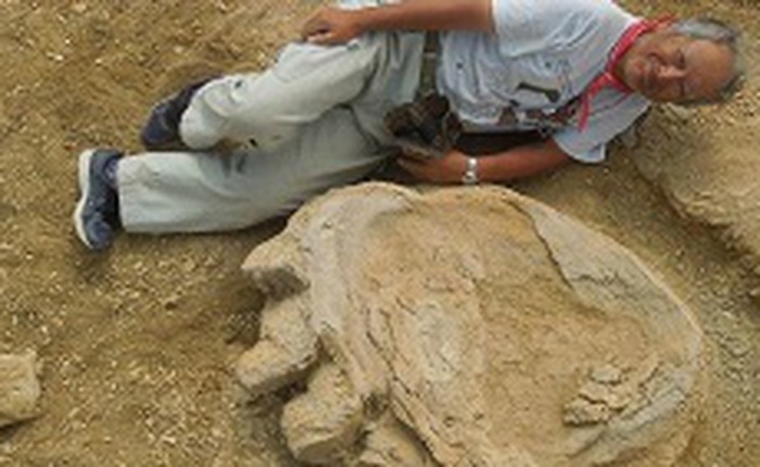 Một trong những dấu chân khủng long lớn nhất từ trước đến nay được phát hiện
