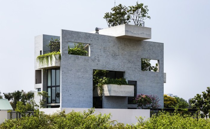 Binh House: Chấm xanh tươi mát giữa lòng thành phố do công ty TNHH Võ Trọng Nghĩa thiết kế