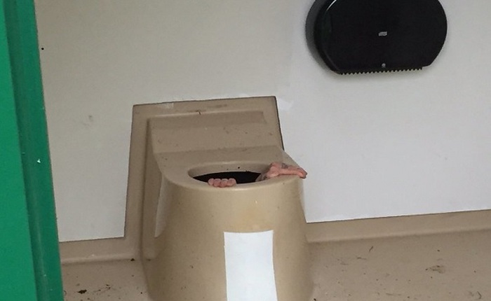 Bị giam trong bể phân của nhà vệ sinh hơn một giờ vì cố nhặt điện thoại bị rơi