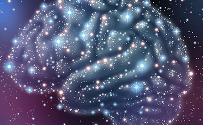 Các nhà khoa học tìm thấy bằng chứng về giác quan thứ 6 tồn tại trong não bộ