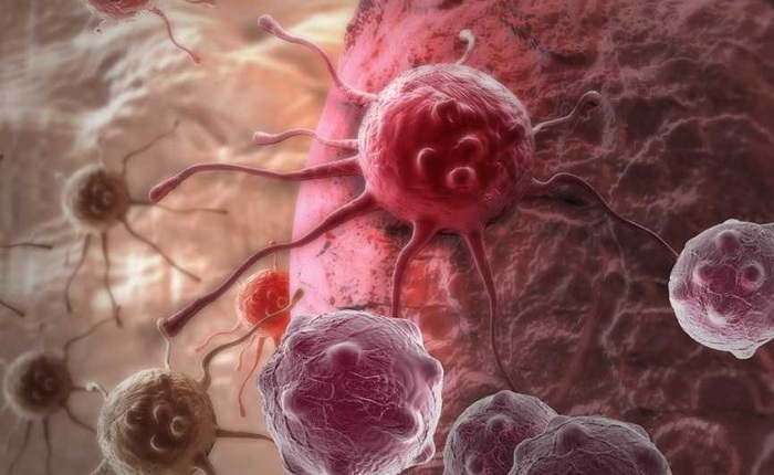 Kết hợp 2 phương pháp truyền thống, các nhà khoa học tạo ra "cú đấm" thực sự có thể đánh bại ung thư
