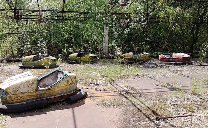 Lá cây ở khu vực Chernobyl không phân huỷ, điều đó có thể sẽ sớm trở thành thảm hoạ