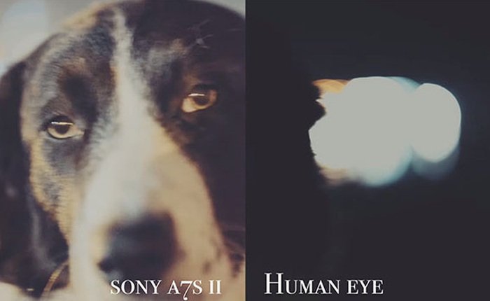 Máy ảnh Sony A7S II vs. mắt người, phần thắng thuộc về ai?
