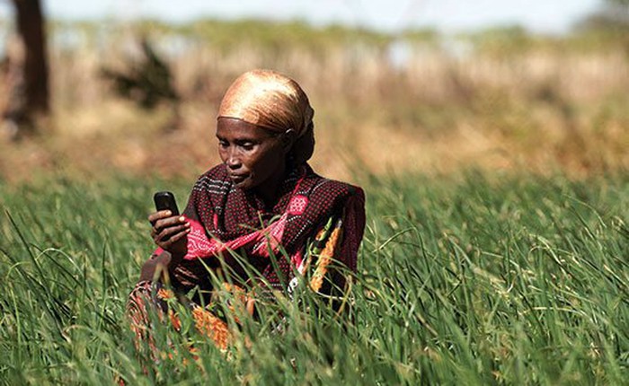Châu Phi: Mùa màng bội thu nhờ ứng dụng báo mưa trên đồng ruộng