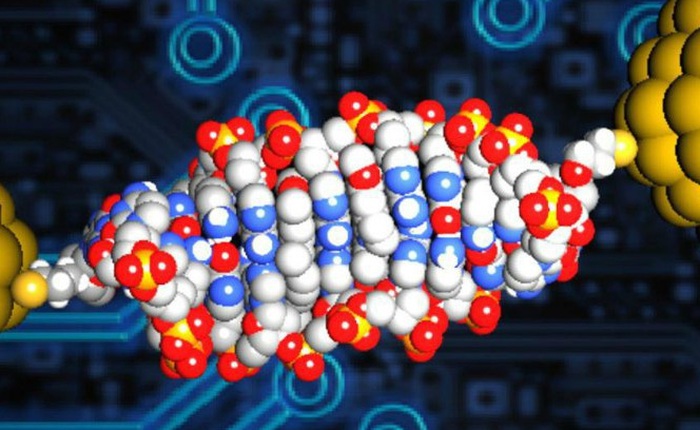 Đi-ốt làm từ DNA nhỏ nhất thế giới, nhỏ gấp 1000 lần bình thường, tương lai máy tính là đây