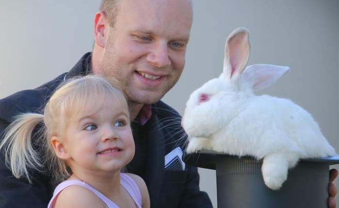 Chuyện chỉ có ở Úc: phạt gần 50.000 USD nếu nuôi thỏ không xin giấy phép