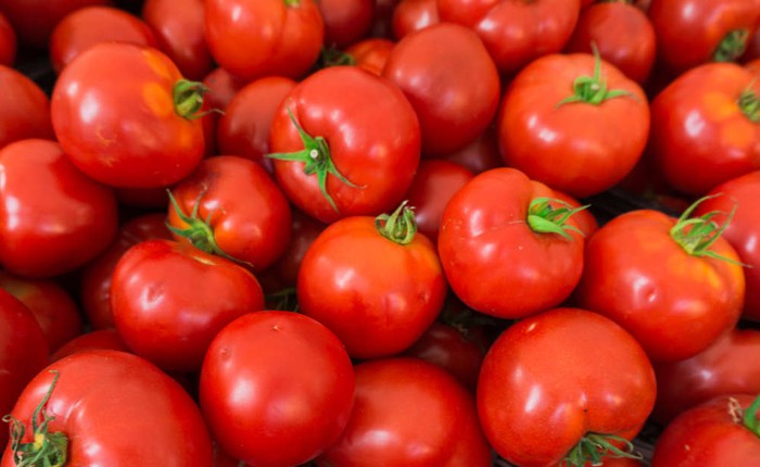 Muốn cà chua có hương vị ngon nhất, đừng giữ chúng trong tủ lạnh