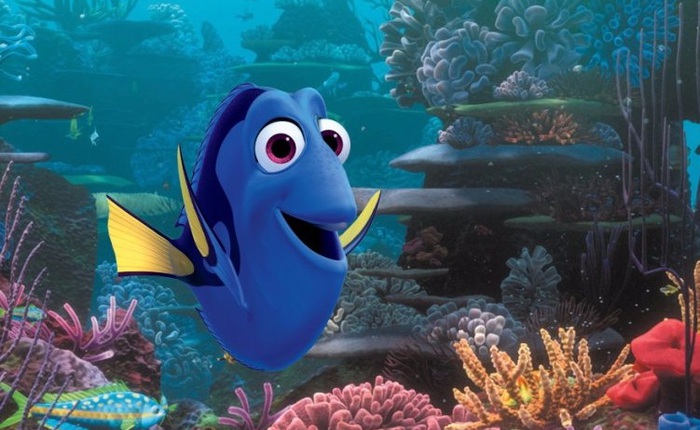 Giáo sư khuyên bạn đừng vì mê mẩn Finding Dory mà đi mua cá cảnh