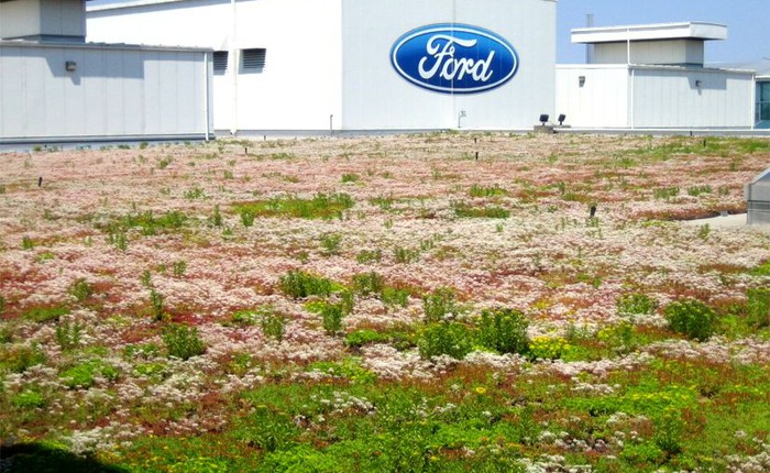 Hãy xem Ford đã biến mái nhà máy của mình thành thảm sinh vật sống độc đáo vô cùng như thế nào