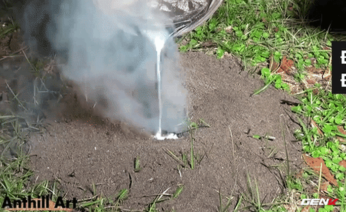 [Video] Thử đổ kim loại nóng chảy vào tổ kiến và cái kết bất ngờ
