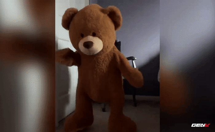 [Video] Dân mạng phát sốt vì trào lưu nhảy múa trong bộ đồ gấu Teddy