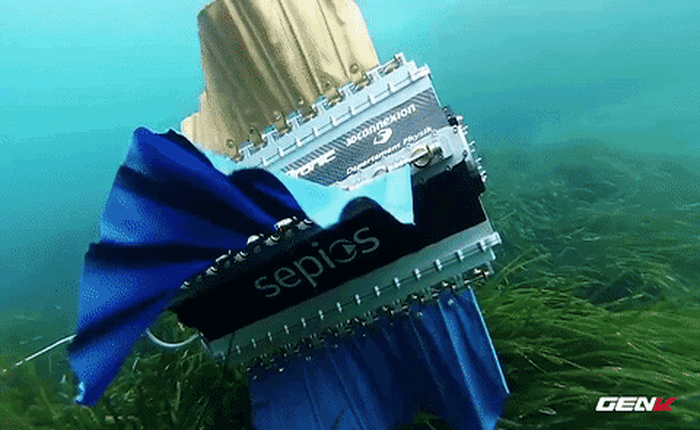 [Video] Chế tạo thành công robot có thể bơi uyển chuyển như loài cá