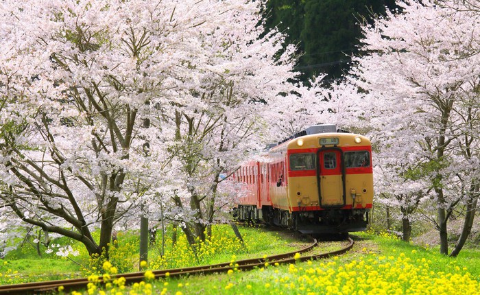 19 bức ảnh lý giải vì sao Nhật Bản có tới 2 thành phố đáng sống nhất thế giới