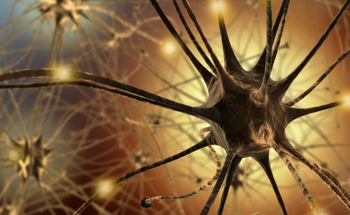 Đột phá: Tìm ra phương pháp "thay não" để điều trị các bệnh về thần kinh