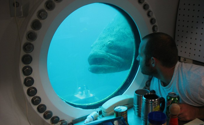 Tham quan phòng nghiên cứu dưới đáy biển như trong phim khoa học viễn tưởng