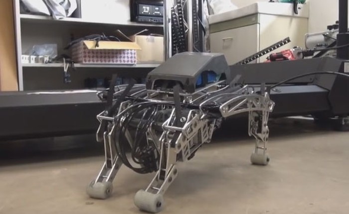 Các nhà khoa học Nhật chế tạo thành công robot chó chihuahua y như thật