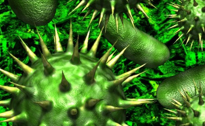 Giải ngố: Virus khác vi khuẩn chỗ nào?
