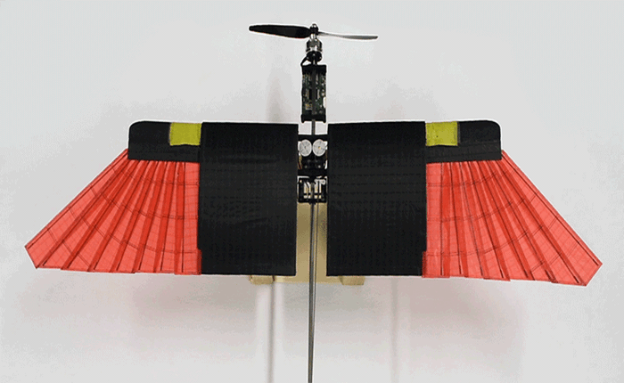 Drone mô phỏng một phần cơ chế của cánh chim thực thụ đã được ra mắt