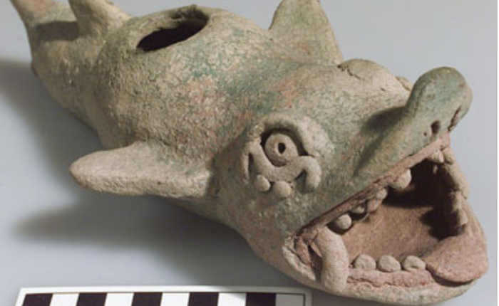 Người Maya cổ đại đã "đưa cá mập lên bờ" ra sao?