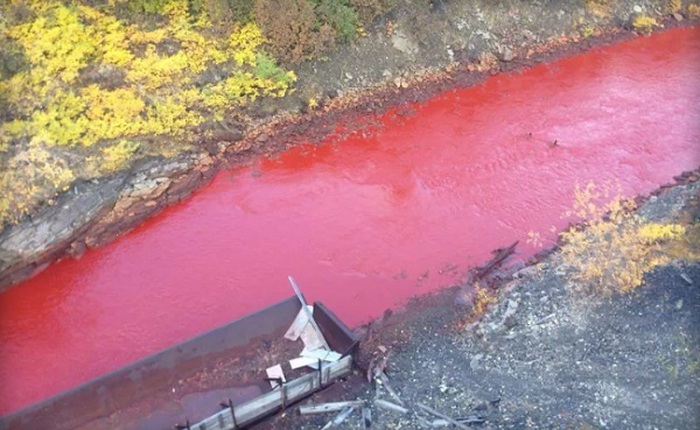 Một dòng sông tại Nga bỗng nhiên hóa đỏ tươi như máu