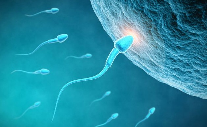 Nghiên cứu mới về thuốc tránh thai cho cả nam và nữ có thể sẽ chữa được bệnh vô sinh ở nam giới