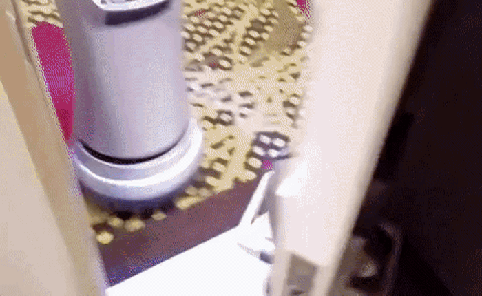 Xem con robot phục vụ phòng cực kỳ dễ thương hứa hẹn sẽ "thay chân" nhân viên khách sạn trong tương lai gần