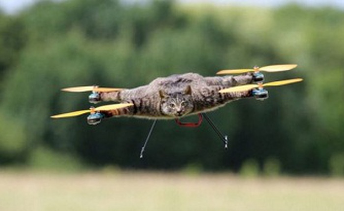 Anh chàng kỳ dị này đang biến xác mèo, bò, chuột và cả đà điểu làm drone