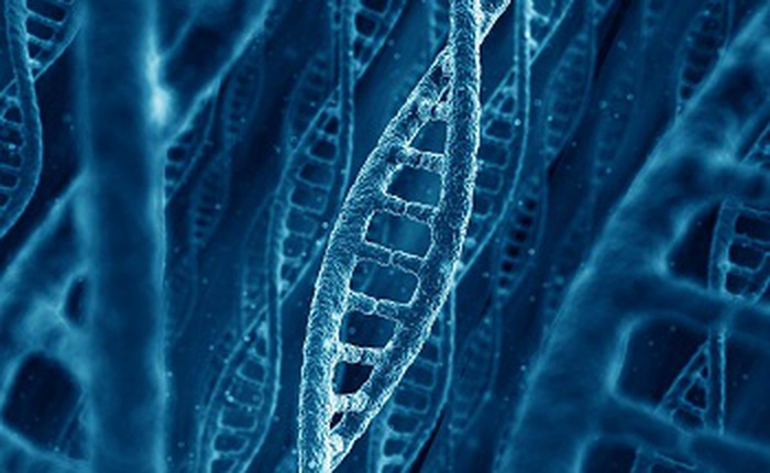 Viết lại mã gen để sản sinh protein mới, các nhà khoa học đang tiến gần hơn tới việc viết lại "bộ mã cuộc sống"