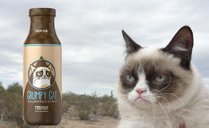 Hãng cà phê bị kiện cả trăm nghìn USD vì sử dụng hình ảnh chú mèo lừng danh Internet