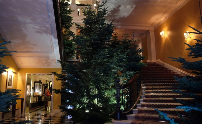 Ngắm nhìn cây thông Noel có một không hai được thiết kế bởi chính tay Jony Ive