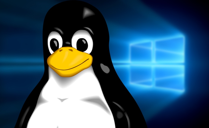 Vì sao Microsoft lại bất ngờ đưa Linux lên Windows: Sự trở lại của nhà vua