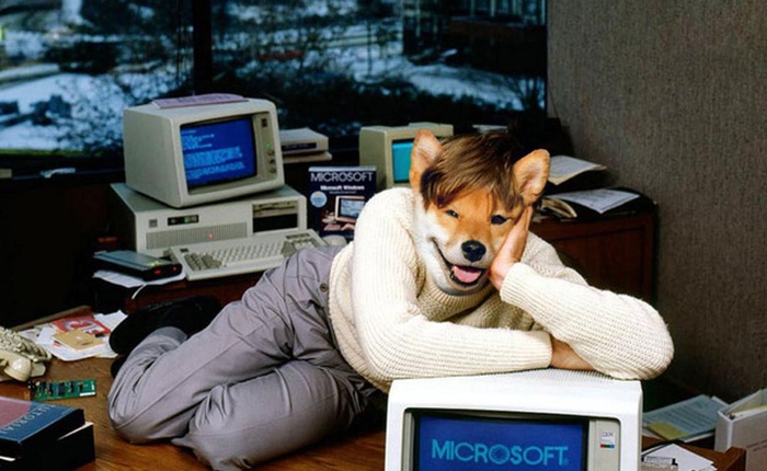 Bộ ảnh photoshop chú chó Nhật vào vai Bill Gates, Stephen Hawking chuẩn không cần chỉnh