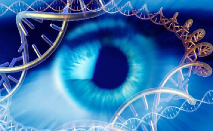 Mỹ: FDA chấp thuận liệu pháp gen đầu tiên trong lịch sử, điều trị bệnh mù lòa do di truyền