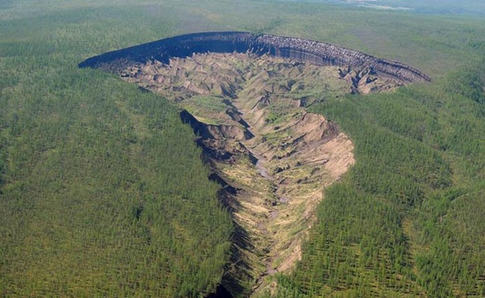 “Cánh cửa Địa ngục” ở Siberia tiết lộ bí mật về khu rừng cổ đại