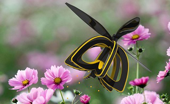 Hãy gặp loài ong của thời đại mới: những con robot thụ phấn cho hoa
