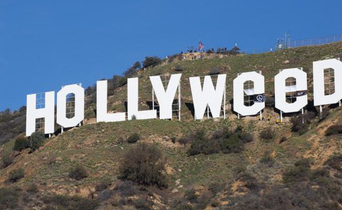 Chỉ sau một đêm, tấm biển Hollywood đã biến thành "Hollyweed" trước sự ngỡ ngàng của người dân