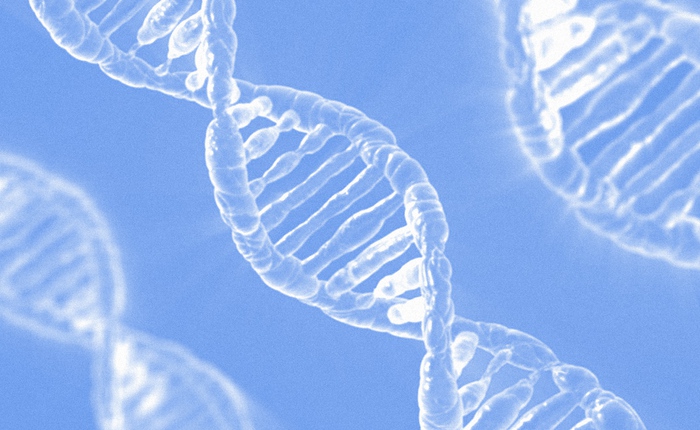 Làm thế nào startup 23andMe có thể biến DNA của bạn thành cỗ máy kiếm tiền trị giá 1 tỷ USD