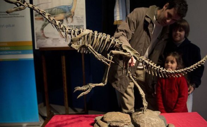"Khủng Long Frankenstein" là kết nối tiến hóa giữa khủng long ăn thịt và ăn cỏ