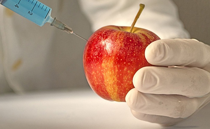 Tháng tới, những quả táo biến đổi gen đầu tiên, không bị hóa nâu sẽ được bán ra tại Mỹ