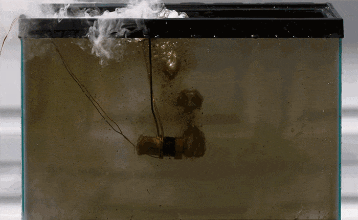 Dưới hiệu ứng slow motion, ngay cả một vụ nổ trong bể cá cũng trở nên "nghệ thuật"