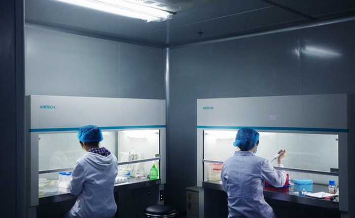 Tại sao trung tâm nghiên cứu gen lớn nhất thế giới của Trung Quốc lại nằm trong một nhà máy giày?