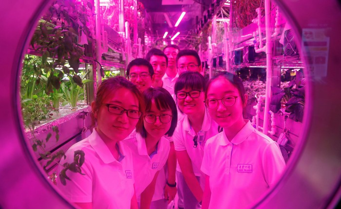 Zoom vào cuộc sống mô phỏng môi trường sao Hỏa của các sinh viên Trung Quốc: trồng lúa mì, khoai tây bằng phân bón của chính mình