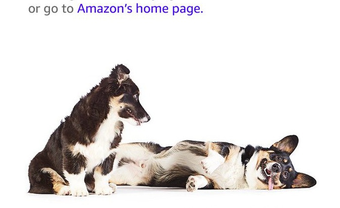 Trang web của Amazon sập nhưng người dùng lại không hề tức giận do được chào đón bởi một đàn cún cực kì đáng yêu