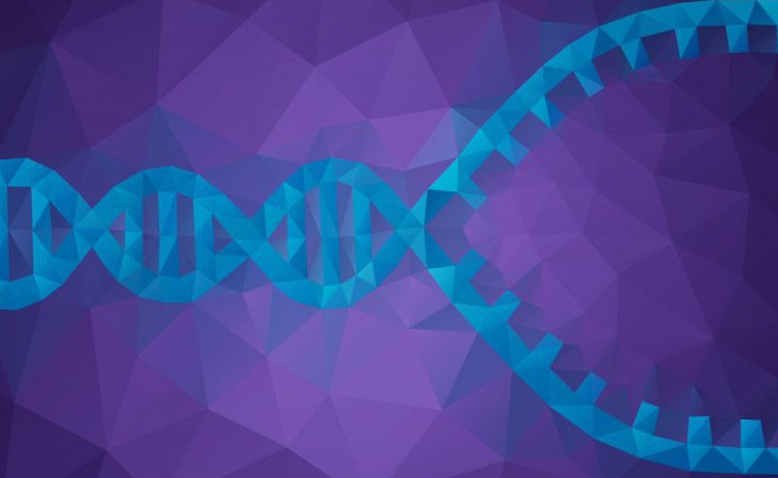 Lần đầu tiên trong lịch sử khoa học, quá trình sao chép của một DNA được ghi hình lại