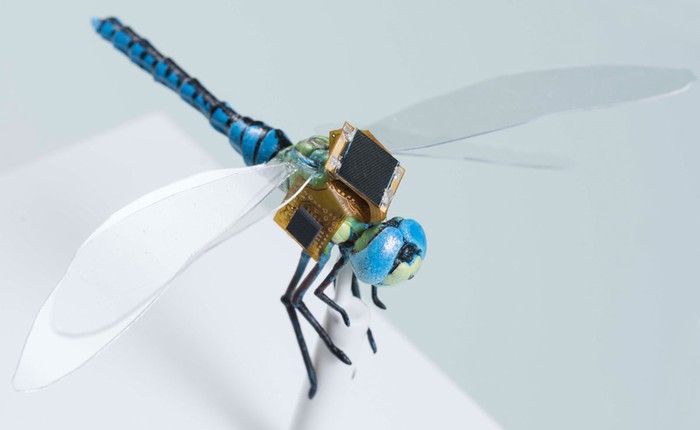 Công nghệ đột phá giúp tạo ra "drone côn trùng", điều khiển dẫn đường bằng ánh sáng