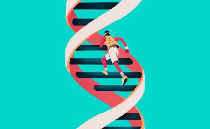 Tiến bộ công nghệ gien giúp 1 gram ADN có thể lưu trữ đến 215 triệu GB dữ liệu
