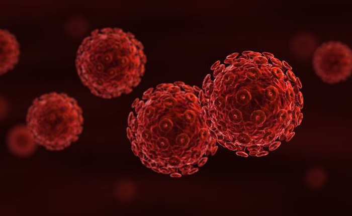 Các nhà khoa học khẳng định HIV phát triển mạnh trong 2 chứ không phải 1 loại tế bào máu, giải thích tại sao căn bệnh chưa thể chữa khỏi