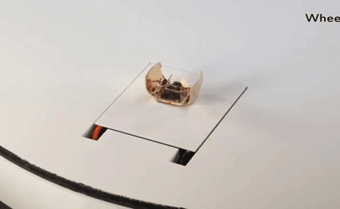 Primer - Siêu robot biến hình như Transformer nhờ ứng dụng nghệ thuật gấp giấy Origami