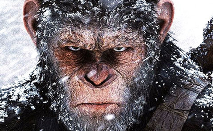 War for the Planet of the Apes: Hình ảnh mãn nhãn, nội dung sâu sắc, được giới phê bình đánh giá cực cao